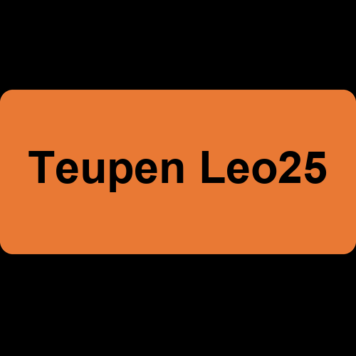 Teupen Leo25